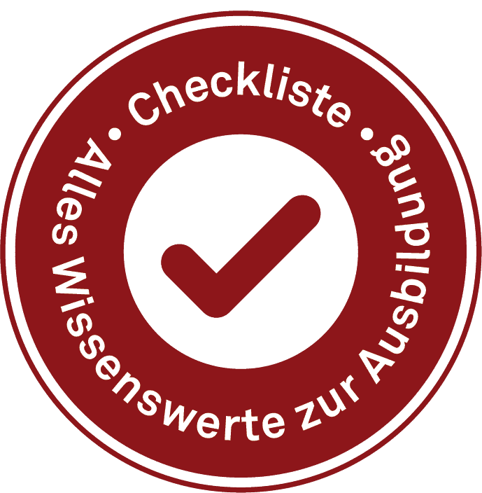 icon checkliste